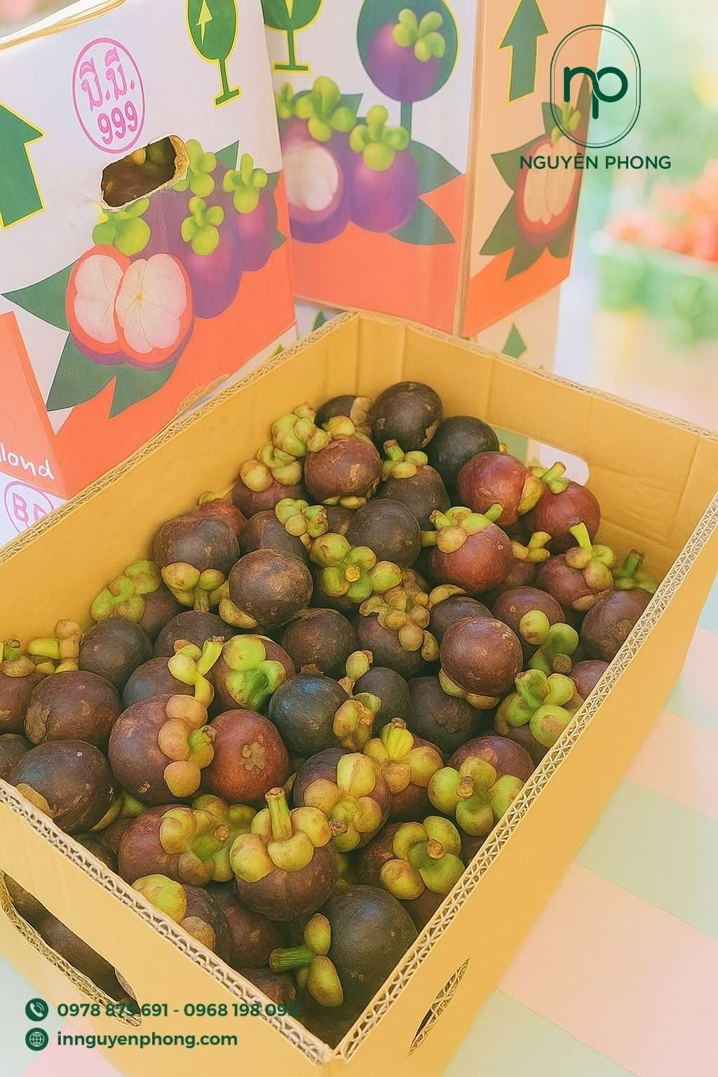 Mẫu thùng carton nhiều lớp chắc chắn đựng măng cụt